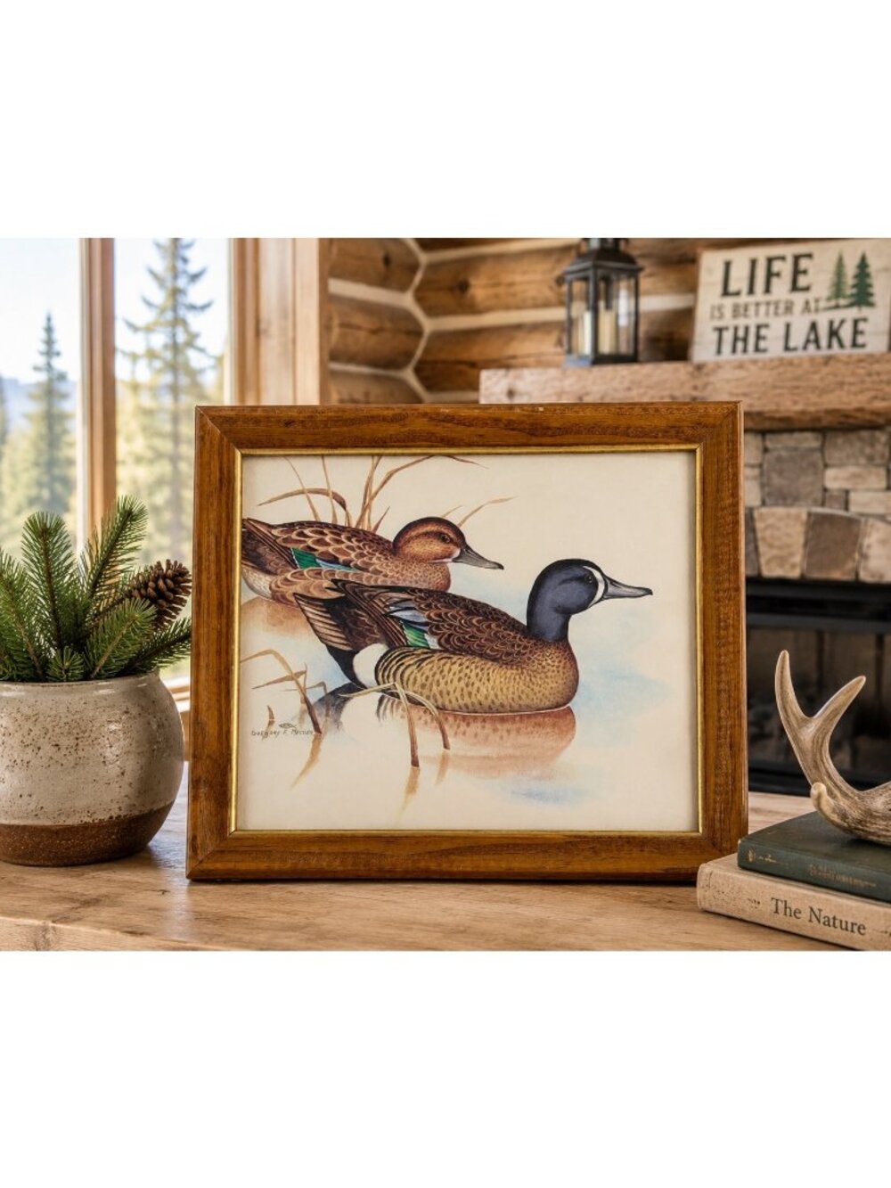 Gregory F. Messier Framed Duck Wildlife Print 11.5” x 9.5” Wall Art